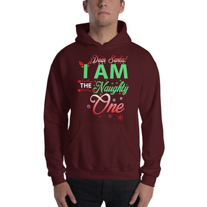 Adult Dear Santa- Naughty Hooded Sweatshirt