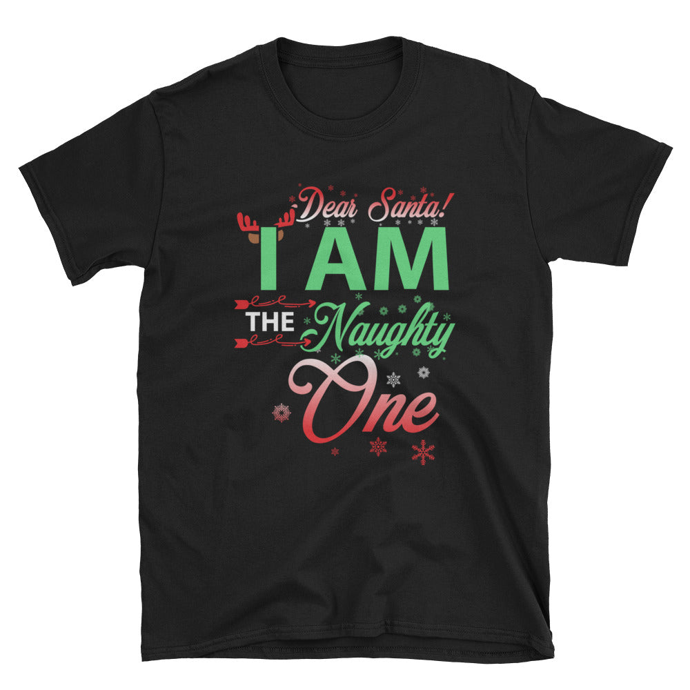 Adult Dear Santa- Naughty T-Shirt (SS)
