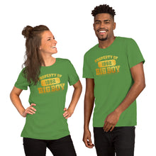 Load image into Gallery viewer, Unisex Property Of Big Boy Records Gold (SL) T-Shirt